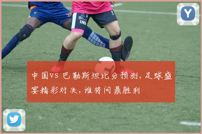 中国vs 巴勒斯坦比分预测,足球盛宴精彩对决,谁将问鼎胜利