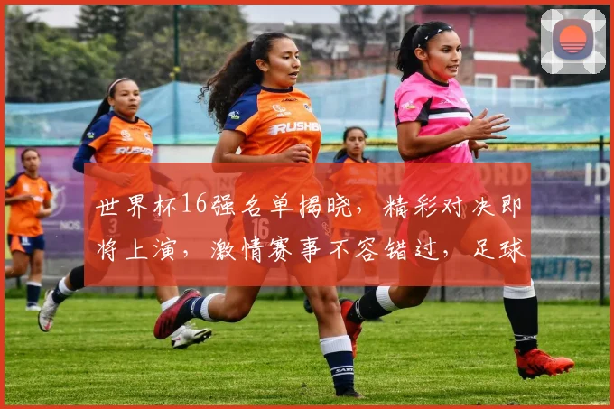 世界杯16强名单揭晓，精彩对决即将上演，激情赛事不容错过，足球盛宴等你来观